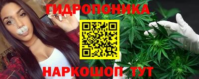 Альфа ПВП Краснознаменск
