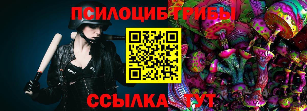 Ковров  Псилоцибиновые грибы мицелий  Вход с VPN  как найти наркотики  Галлюциногенные грибы Psilocybine cubensis 
